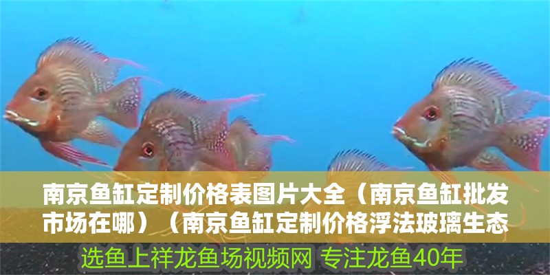 南京魚缸定制價(jià)格表圖片大全（南京魚缸批發(fā)市場(chǎng)在哪）（南京魚缸定制價(jià)格浮法玻璃生態(tài)魚缸價(jià)格在500元左右）