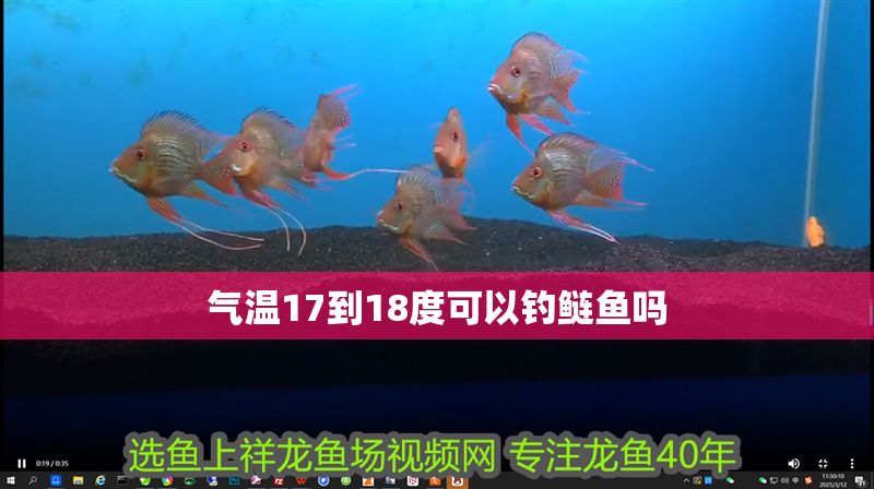 氣溫17到18度可以釣鰱魚嗎