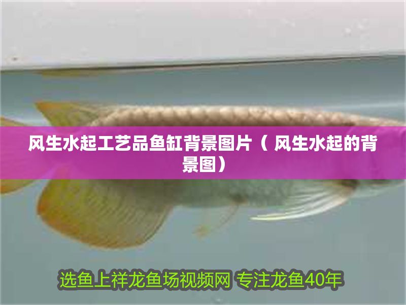 風生水起工藝品魚缸背景圖片（ 風生水起的背景圖）