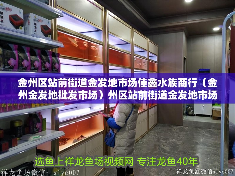 金州區(qū)站前街道金發(fā)地市場佳鑫水族商行(金州金發(fā)地批發(fā)市場)州區(qū)站前街道金發(fā)地市場佳鑫水族商行(金州金發(fā) 全國水族館企業(yè)名錄 第2張 金州區(qū)站前街道金發(fā)地市場佳鑫水族商行(金州金發(fā)地批發(fā)市場)州區(qū)站前街道金發(fā)地市場佳鑫水族商行(金州金發(fā) 金州區(qū)站前街道金發(fā)地市場佳鑫水族商行(金州金發(fā)地批發(fā)市場)州區(qū)站前街道金發(fā)地市場佳鑫水族商行(金州金發(fā) 全國水族館企業(yè)名錄 第2張