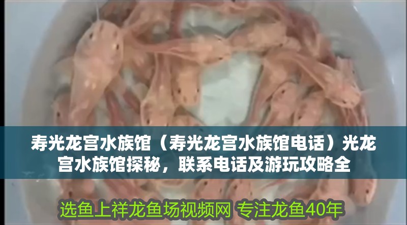 壽光龍宮水族館（壽光龍宮水族館電話）光龍宮水族館探秘，聯系電話及游玩攻略全