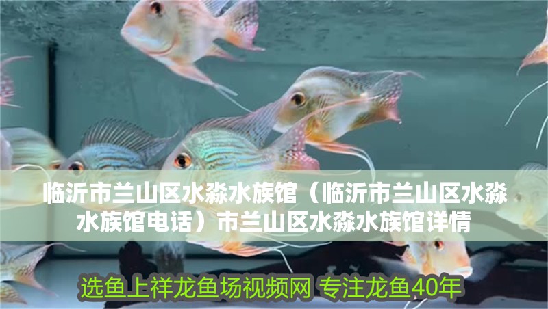 臨沂市蘭山區水淼水族館（臨沂市蘭山區水淼水族館電話）市蘭山區水淼水族館詳情
