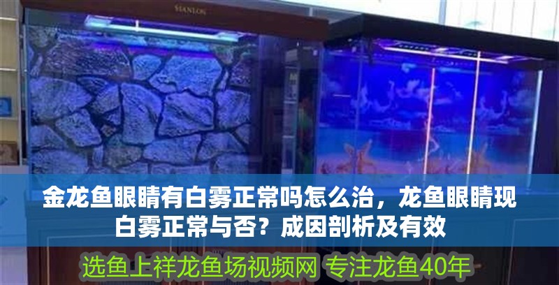 金龍魚眼睛有白霧正常嗎怎么治，龍魚眼睛現(xiàn)白霧正常與否？成因剖析及有效