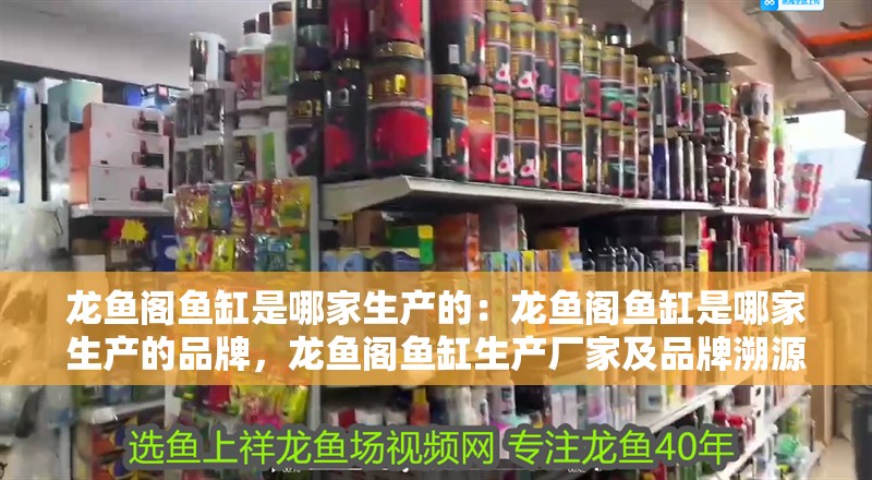 龍魚閣魚缸是哪家生產(chǎn)的：龍魚閣魚缸是哪家生產(chǎn)的品牌，龍魚閣魚缸生產(chǎn)廠家及品牌溯源