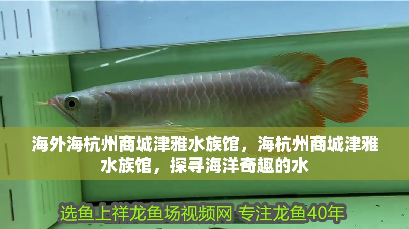 海外海杭州商城津雅水族館，海杭州商城津雅水族館，探尋海洋奇趣的水 海外海杭州商城津雅水族館，海杭州商城津雅水族館，探尋海洋奇趣的水 全國水族館企業(yè)名錄 第2張