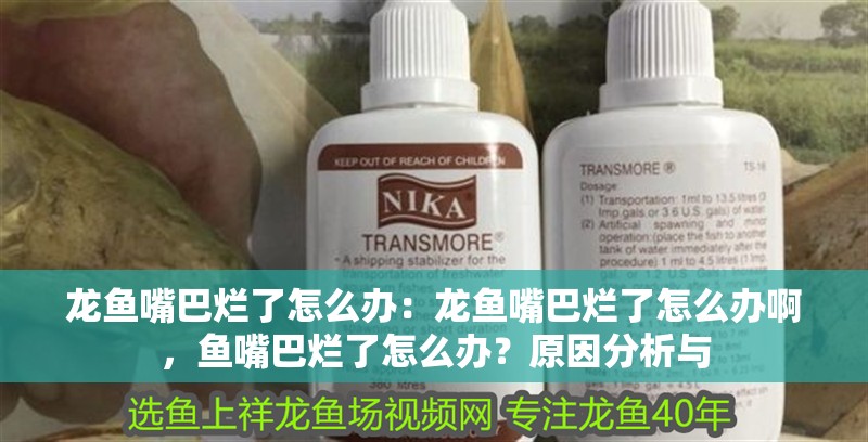龍魚(yú)嘴巴爛了怎么辦：龍魚(yú)嘴巴爛了怎么辦啊，魚(yú)嘴巴爛了怎么辦？原因分析與