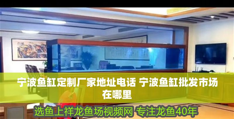 寧波魚缸定制廠家地址電話 寧波魚缸批發(fā)市場(chǎng)在哪里