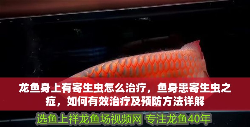 龍魚身上有寄生蟲怎么治療，魚身患寄生蟲之癥，如何有效治療及預防方法詳解