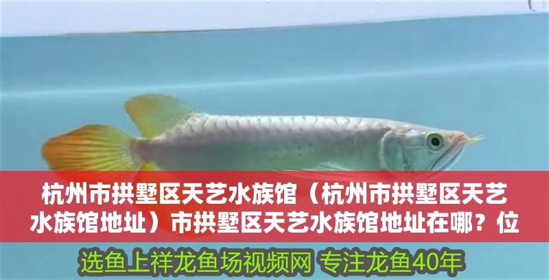 杭州市拱墅區天藝水族館（杭州市拱墅區天藝水族館地址）市拱墅區天藝水族館地址在哪？位置詳情及