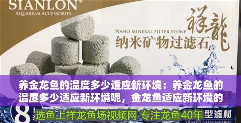 養(yǎng)金龍魚的溫度多少適應(yīng)新環(huán)境：養(yǎng)金龍魚的溫度多少適應(yīng)新環(huán)境呢，金龍魚適應(yīng)新環(huán)境的溫度要求
