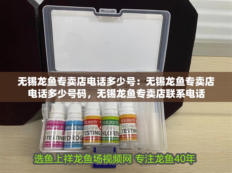 無錫龍魚專賣店電話多少號：無錫龍魚專賣店電話多少號碼，無錫龍魚專賣店聯系電話