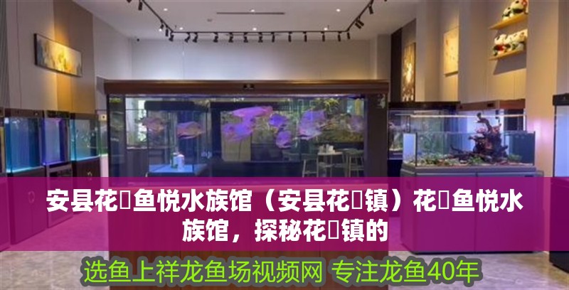 安縣花荄魚悅水族館（安縣花荄鎮(zhèn)）花荄魚悅水族館，探秘花荄鎮(zhèn)的