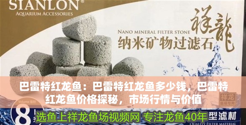巴雷特紅龍魚：巴雷特紅龍魚多少錢，巴雷特紅龍魚價格探秘，市場行情與價值