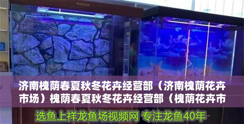 濟南槐蔭春夏秋冬花卉經營部（濟南槐蔭花卉市場）槐蔭春夏秋冬花卉經營部（槐蔭花卉市場），花卉