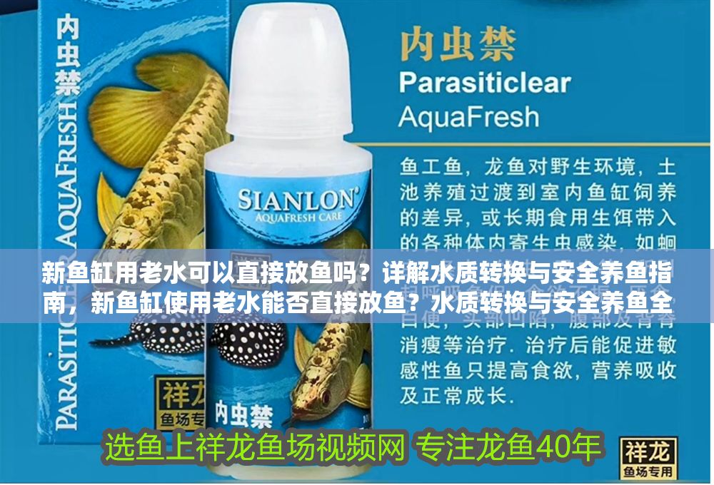 新魚(yú)缸用老水可以直接放魚(yú)嗎？詳解水質(zhì)轉(zhuǎn)換與安全養(yǎng)魚(yú)指南，新魚(yú)缸使用老水能否直接放魚(yú)？水質(zhì)轉(zhuǎn)換與安全養(yǎng)魚(yú)全解析