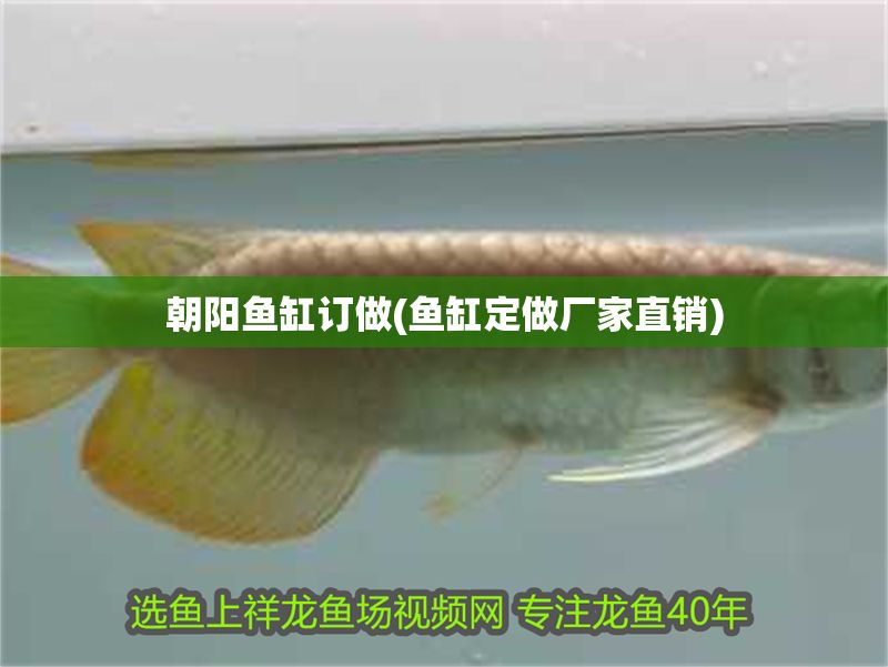 朝陽魚缸訂做(魚缸定做廠家直銷)