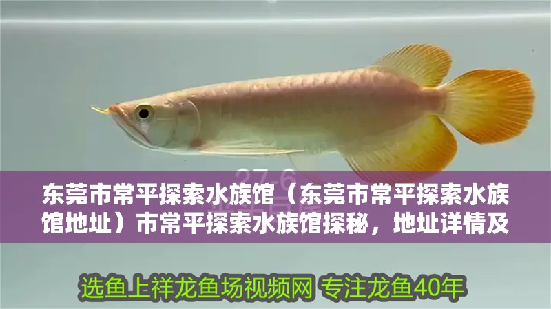 東莞市常平探索水族館（東莞市常平探索水族館地址）市常平探索水族館探秘，地址詳情及特色亮點(diǎn) 東莞市常平探索水族館（東莞市常平探索水族館地址）市常平探索水族館探秘，地址詳情及特色亮點(diǎn) 全國水族館企業(yè)名錄 第2張