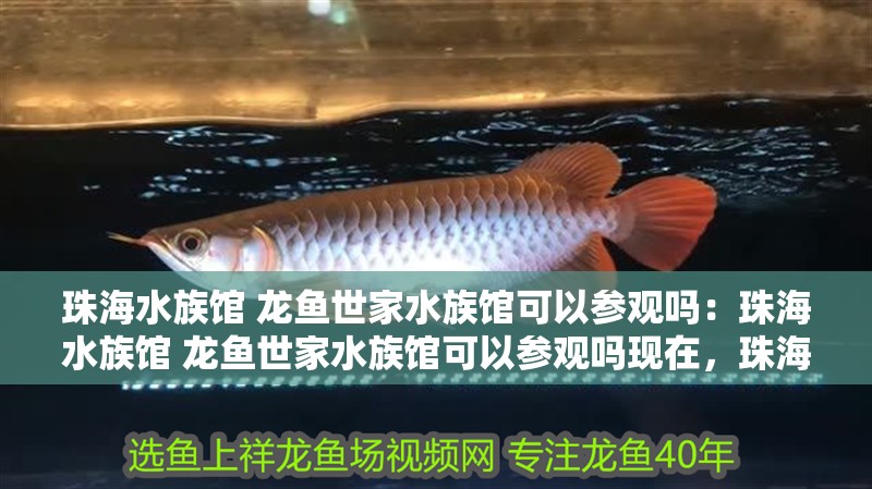珠海水族館 龍魚世家水族館可以參觀嗎：珠海水族館 龍魚世家水族館可以參觀嗎現在，珠海龍魚世家水族館參觀情況