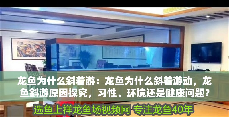 龍魚為什么斜著游：龍魚為什么斜著游動，龍魚斜游原因探究，習性、環境還是健康問題？