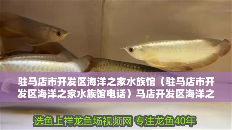 駐馬店市開發區海洋之家水族館（駐馬店市開發區海洋之家水族館電話）馬店開發區海洋之家水族館詳情，含地址及聯系電話