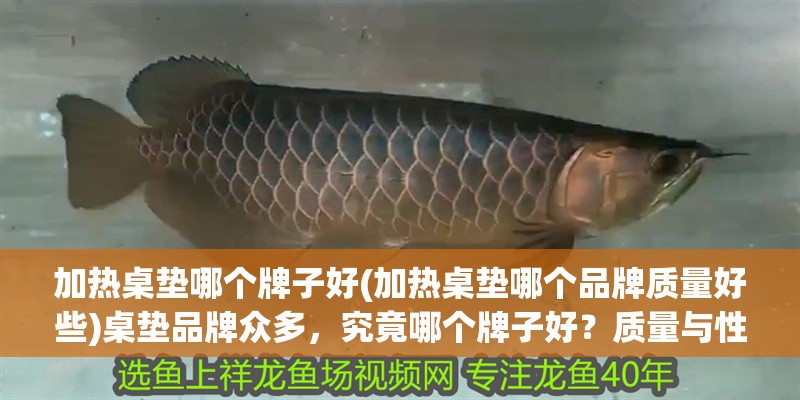加熱桌墊哪個牌子好(加熱桌墊哪個品牌質(zhì)量好些)桌墊品牌眾多，究竟哪個牌子好？質(zhì)量與性價比兼具的品牌推薦