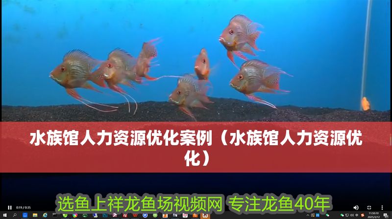 水族館人力資源優(yōu)化案例（水族館人力資源優(yōu)化）