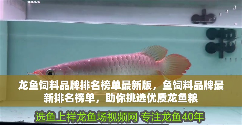 龍魚飼料品牌排名榜單最新版，魚飼料品牌最新排名榜單，助你挑選優質龍魚糧