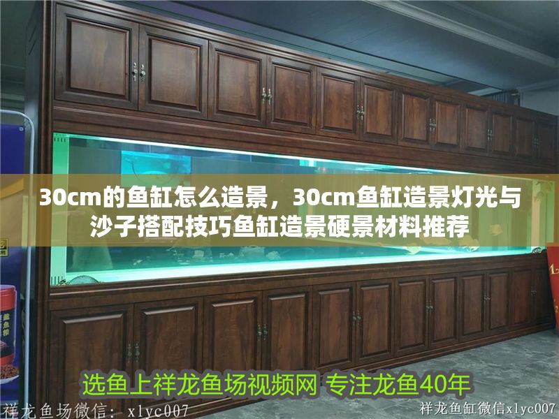 30cm的魚缸怎么造景，30cm魚缸造景燈光與沙子搭配技巧魚缸造景硬景材料推薦