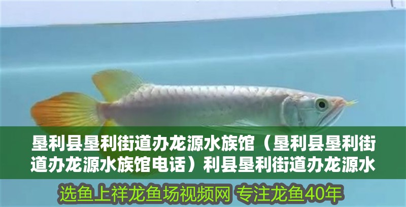 墾利縣墾利街道辦龍源水族館（墾利縣墾利街道辦龍源水族館電話）利縣墾利街道辦龍源水族館，特色水