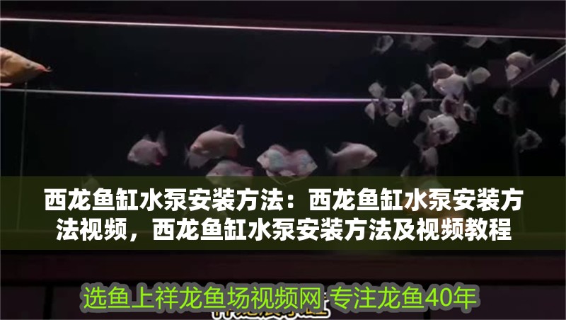 大型原生態魚缸造景：原生態魚缸造景材料的選擇步驟對于造景和養魚至關重要，大型原生態魚缸造景，材料選擇步驟，關乎造景