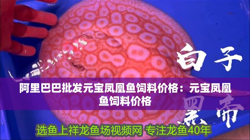 阿里巴巴批發元寶鳳凰魚飼料價格：元寶鳳凰魚飼料價格