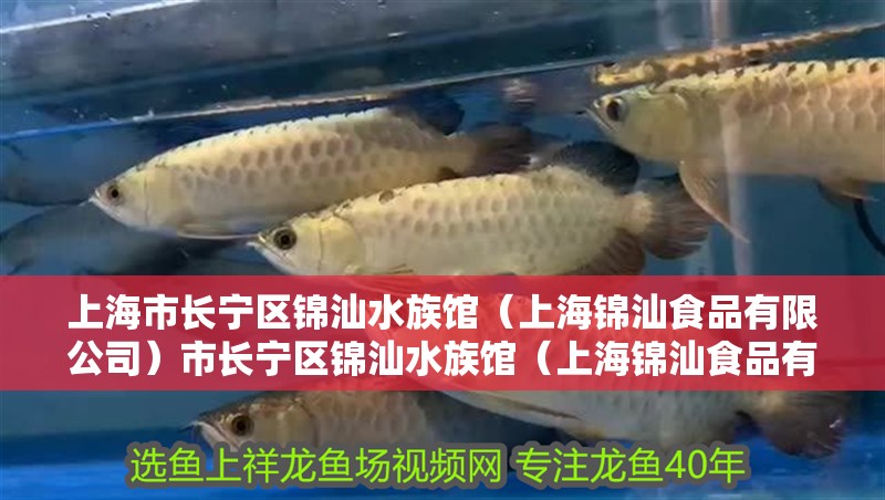 上海市長寧區錦汕水族館（上海錦汕食品有限公司）市長寧區錦汕水族館（上海錦汕食品有限公司