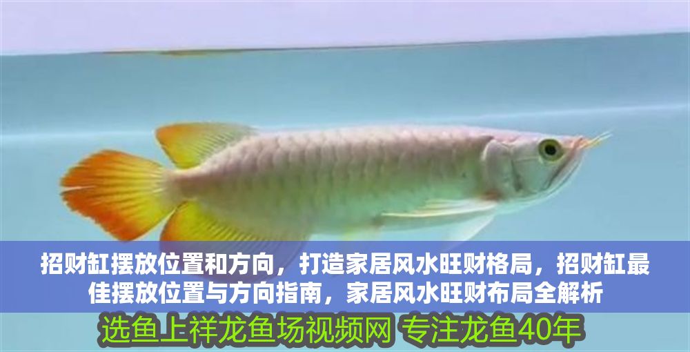 招財缸擺放位置和方向，打造家居風水旺財格局，招財缸最佳擺放位置與方向指南，家居風水旺財布局全解析