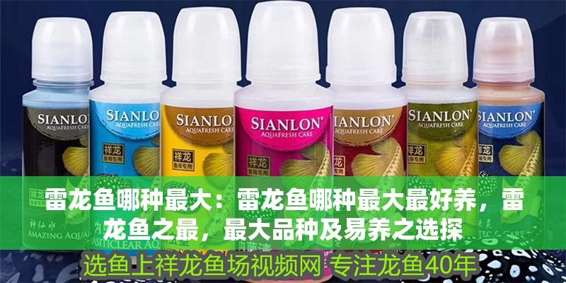 雷龍魚哪種最大：雷龍魚哪種最大最好養，雷龍魚之最，最大品種及易養之選探