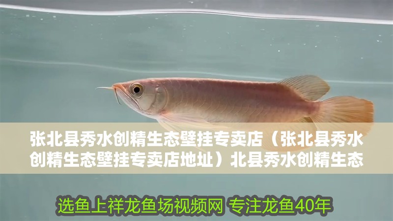 張北縣秀水創(chuàng)精生態(tài)壁掛專賣店（張北縣秀水創(chuàng)精生態(tài)壁掛專賣店地址）北縣秀水創(chuàng)精生態(tài)壁掛專賣店地址在哪？產品
