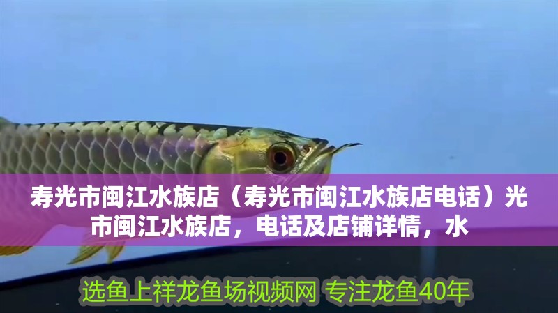 壽光市閩江水族店（壽光市閩江水族店電話）光市閩江水族店，電話及店鋪詳情，水