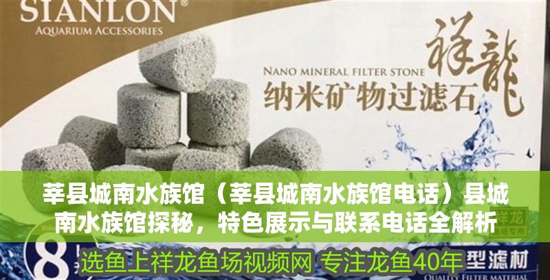 莘縣城南水族館（莘縣城南水族館電話）縣城南水族館探秘，特色展示與聯系電話全解析