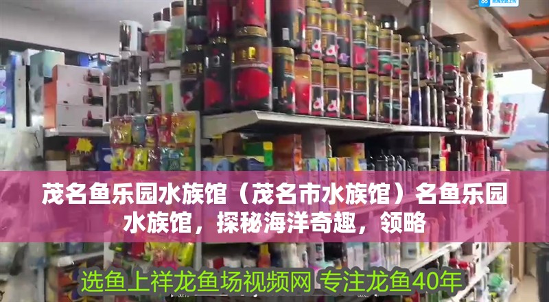 茂名魚樂園水族館（茂名市水族館）名魚樂園水族館，探秘海洋奇趣，領略