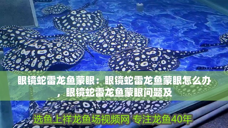 眼鏡蛇雷龍魚蒙眼：眼鏡蛇雷龍魚蒙眼怎么辦，眼鏡蛇雷龍魚蒙眼問題及