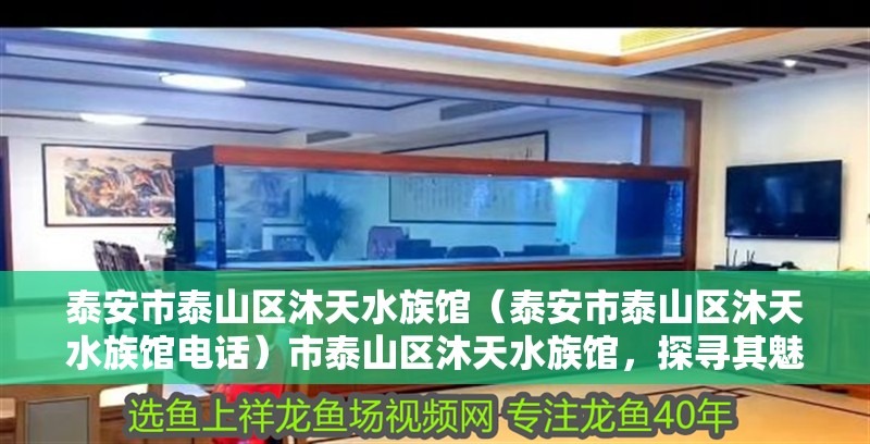 泰安市泰山區沐天水族館（泰安市泰山區沐天水族館電話）市泰山區沐天水族館，探尋其魅力及聯系電話詳情