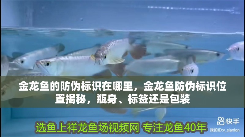 金龍魚的防偽標識在哪里，金龍魚防偽標識位置揭秘，瓶身、標簽還是包裝