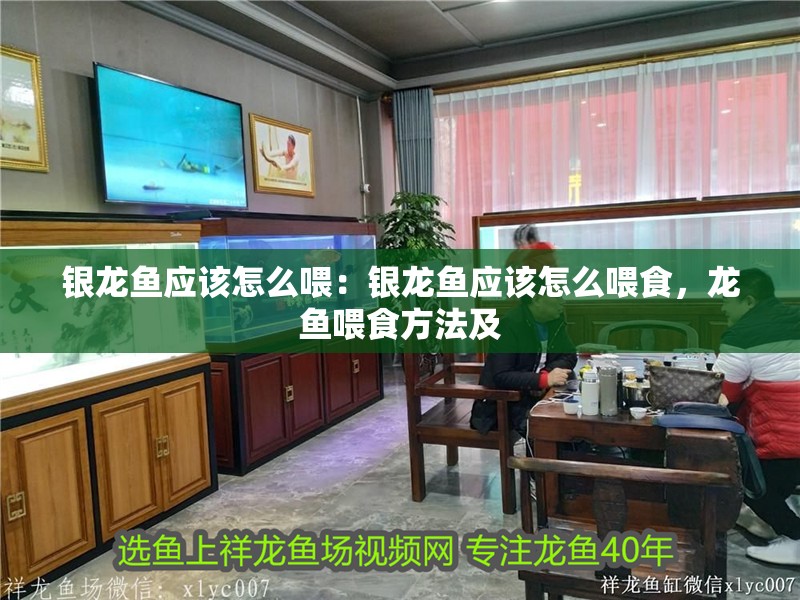銀龍魚應(yīng)該怎么喂：銀龍魚應(yīng)該怎么喂食，龍魚喂食方法及