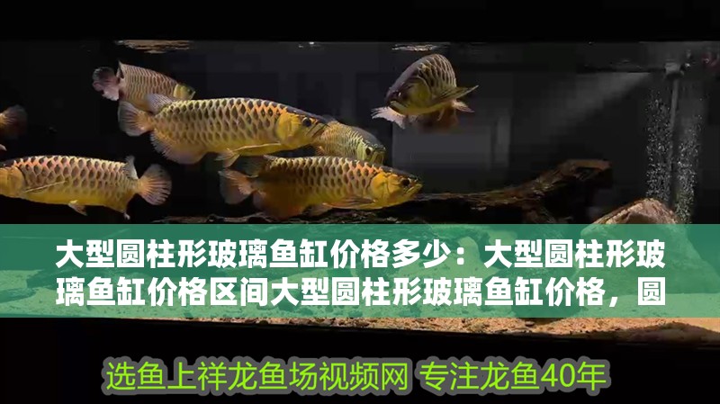 大型圓柱形玻璃魚缸價(jià)格多少：大型圓柱形玻璃魚缸價(jià)格區(qū)間大型圓柱形玻璃魚缸價(jià)格，圓柱形玻璃魚缸價(jià)格大揭秘，區(qū)間