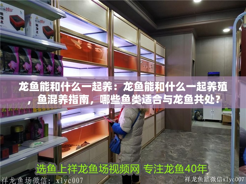 龍魚能和什么一起養：龍魚能和什么一起養殖，魚混養指南，哪些魚類適合與龍魚共處？