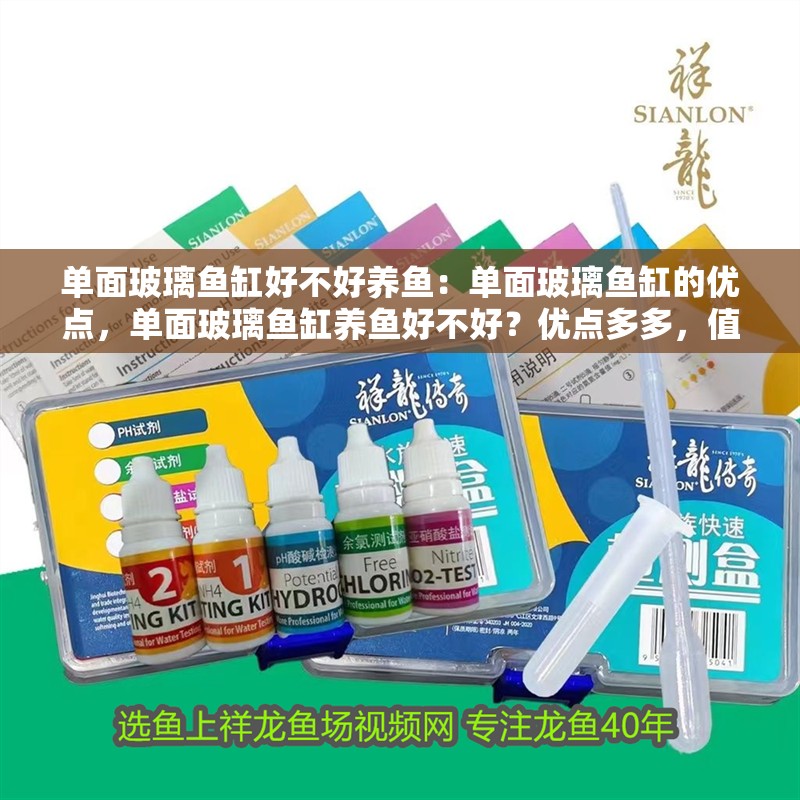 單面玻璃魚缸好不好養(yǎng)魚：單面玻璃魚缸的優(yōu)點，單面玻璃魚缸養(yǎng)魚好不好？優(yōu)點多多，值得深入了解