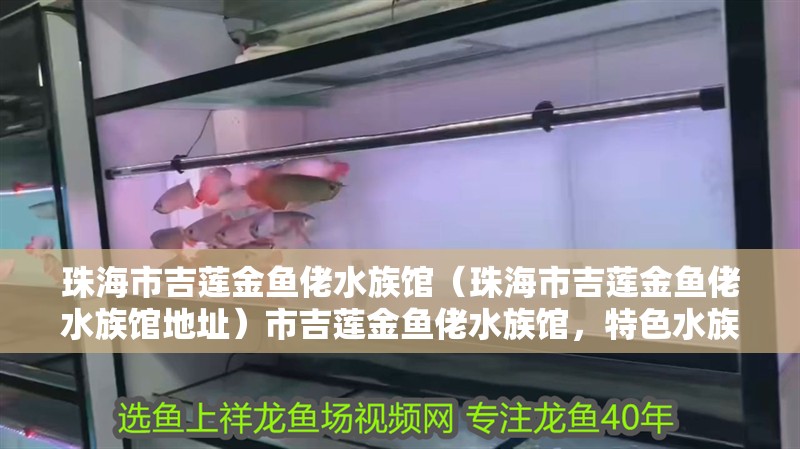 珠海市吉蓮金魚佬水族館（珠海市吉蓮金魚佬水族館地址）市吉蓮金魚佬水族館，特色水族世界