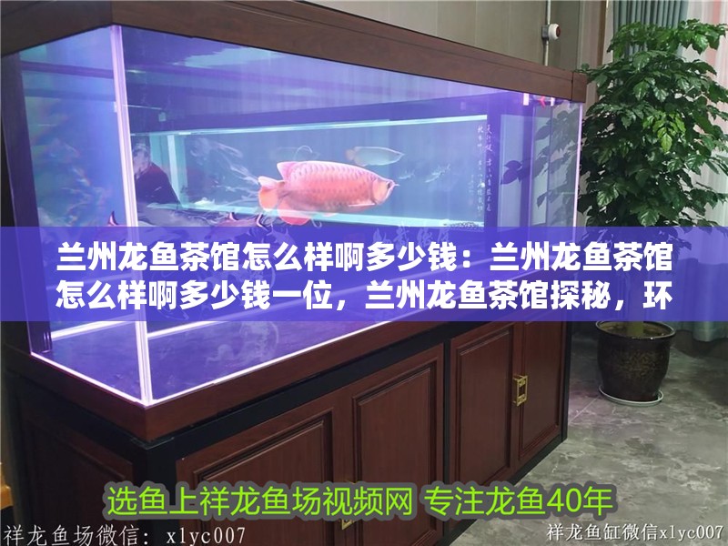 蘭州龍魚茶館怎么樣啊多少錢：蘭州龍魚茶館怎么樣啊多少錢一位，蘭州龍魚茶館探秘，環境體驗與消費價格全