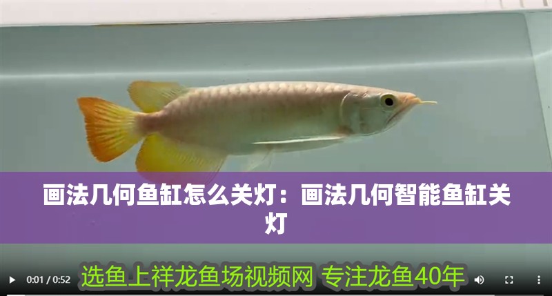 畫法幾何魚缸怎么關燈：畫法幾何智能魚缸關燈