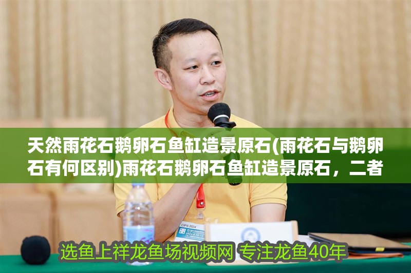 天然雨花石鵝卵石魚缸造景原石(雨花石與鵝卵石有何區(qū)別)雨花石鵝卵石魚缸造景原石，二者區(qū)別