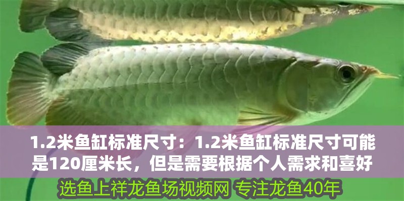 1.2米魚缸標(biāo)準(zhǔn)尺寸：1.2米魚缸標(biāo)準(zhǔn)尺寸可能是120厘米長，但是需要根據(jù)個人需求和喜好決定，2米魚缸標(biāo)準(zhǔn)尺寸揭秘，長120厘米，依需求